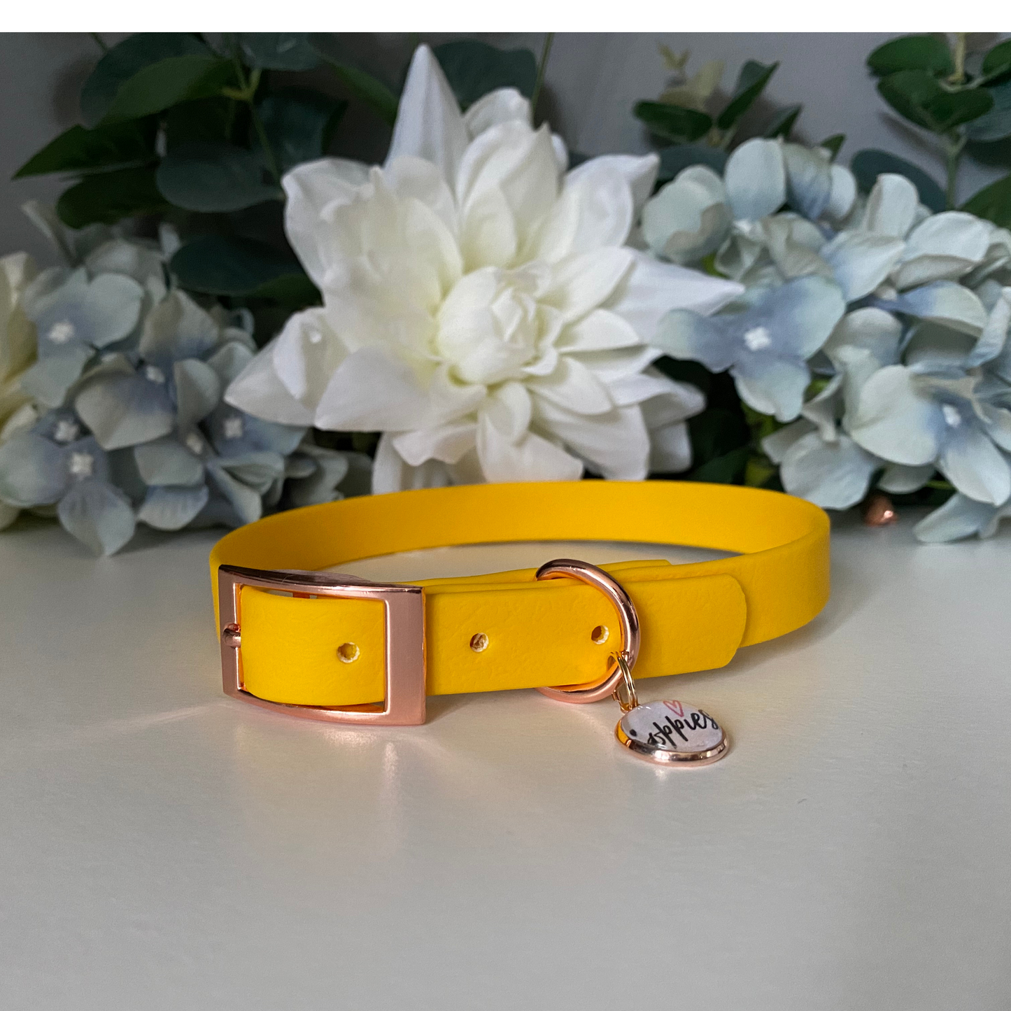 Sunshine Yellow Collar 1.6cm width